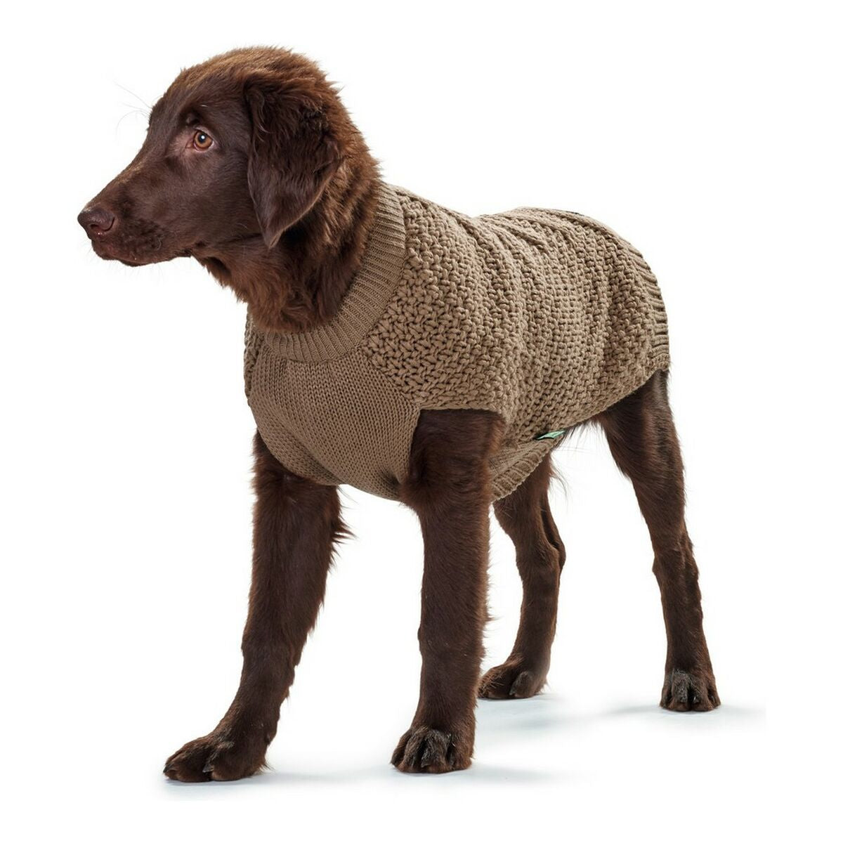 Camisola de Malha para Cão