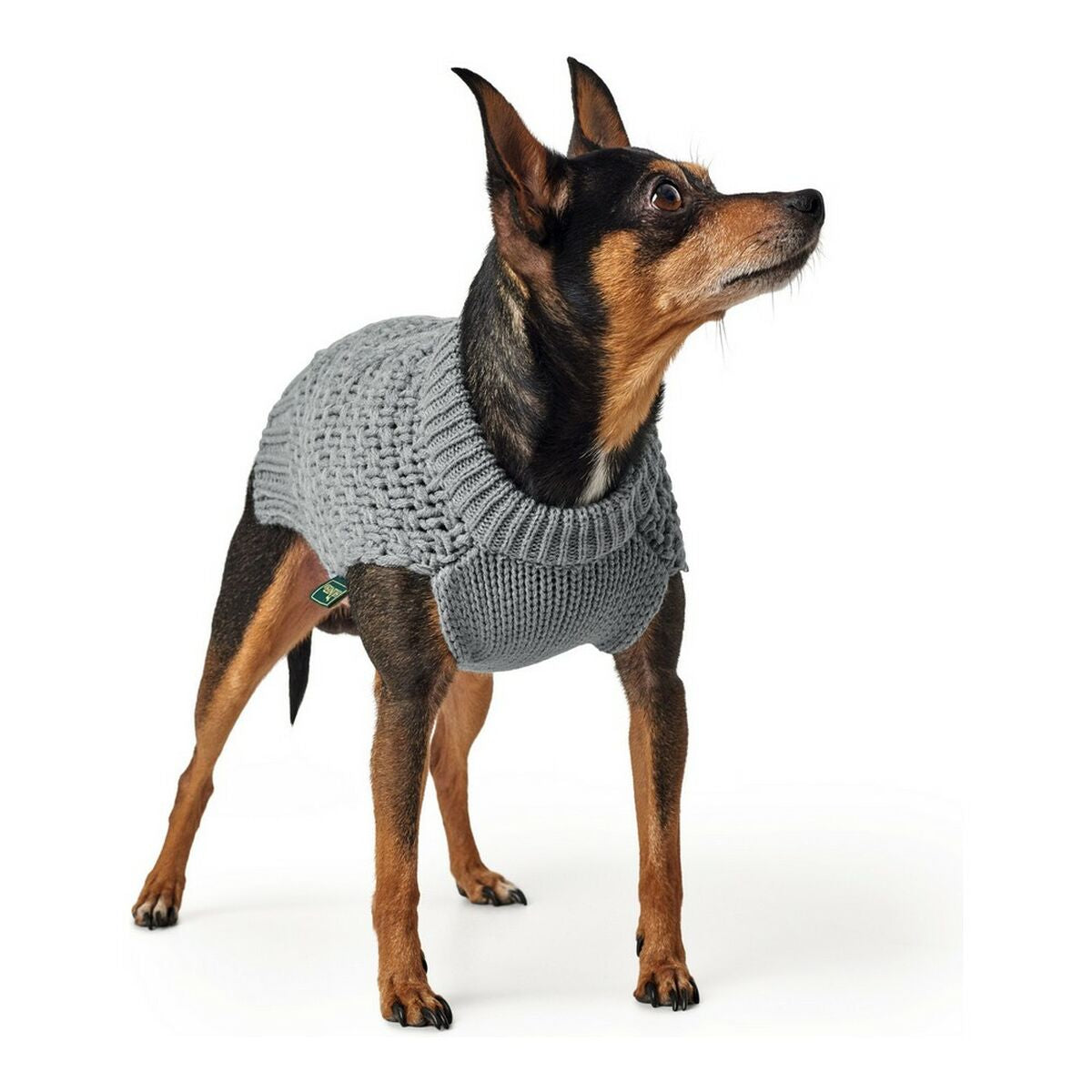 Camisola de Malha para Cão
