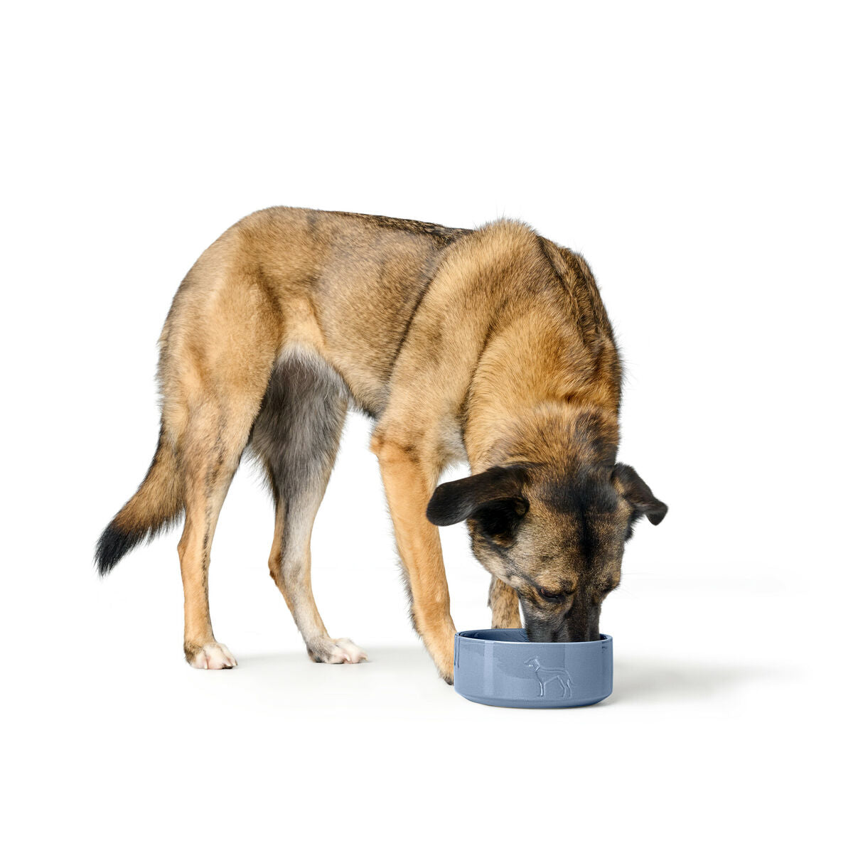 Dog Feeder Hunter OSBY Blue Ceramic 1,1 L