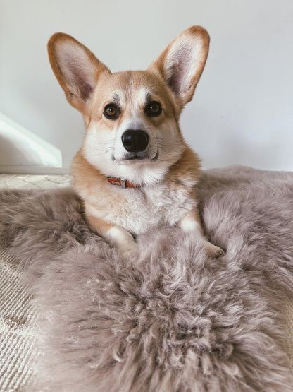Square or Rectangular Natural Sheepskin Pet Mat - Greige-4