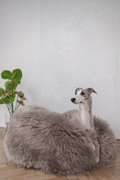 Oval Natural Sheepskin Pet Bed - Greige-0