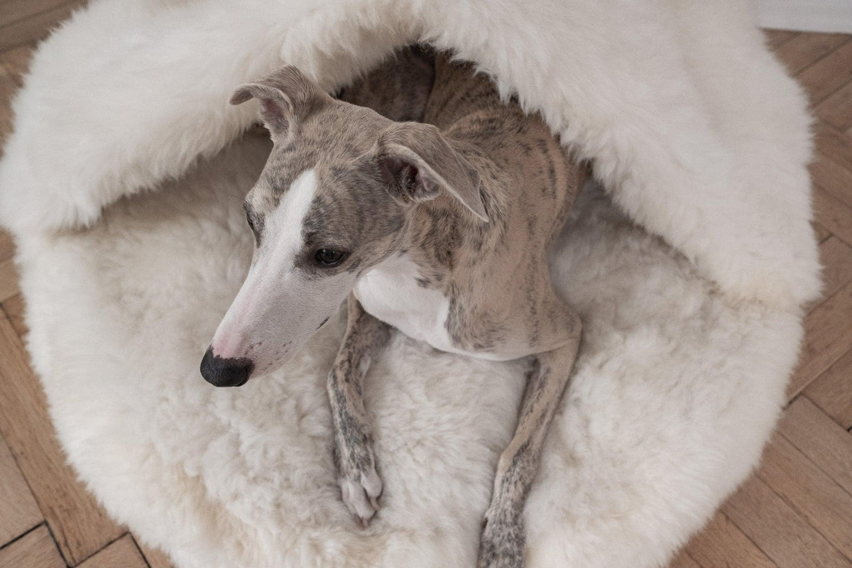 Natural Sheepskin Pet Cave - White-4