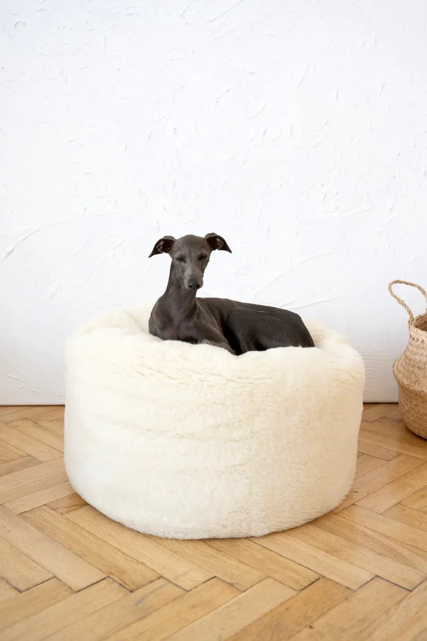 Oval Natural Wool Pet Bed - White-2