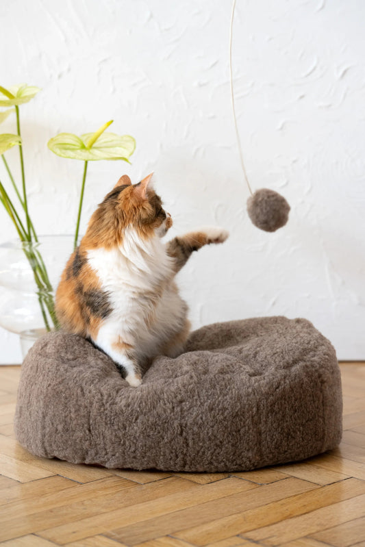 Oval Natural Wool Pet Bed - Beige-0
